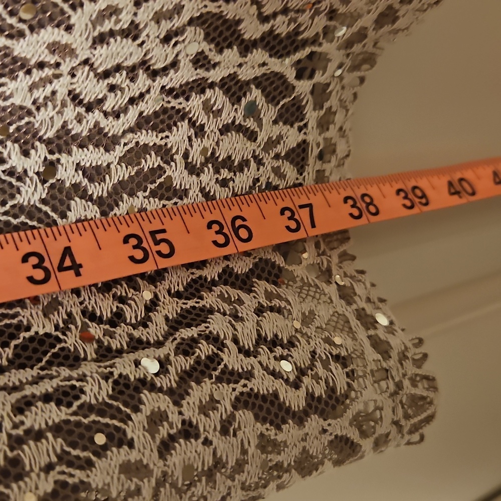 Taupe Lacey Dress| Jessica Howard| W Sz. 14 |Bridal, Winter Formal, Fairycore - Picture 8 of 13